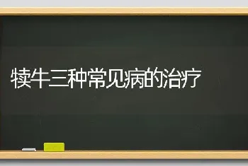 犊牛三种常见病的治疗