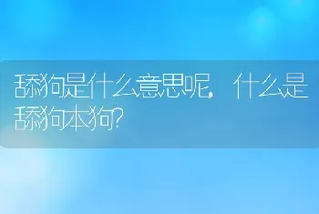 舔狗是什么意思呢