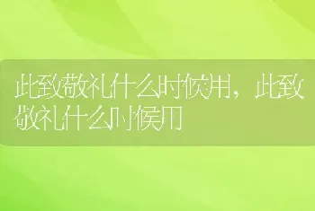 此致敬礼什么时候用