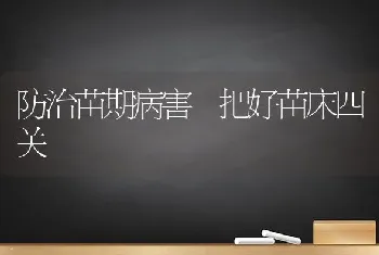 防治苗期病害 把好苗床四关