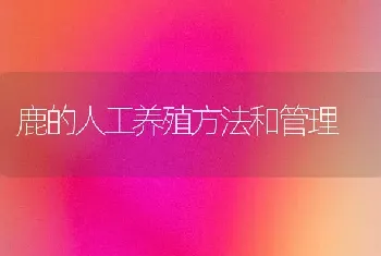 鹿的人工养殖方法和管理