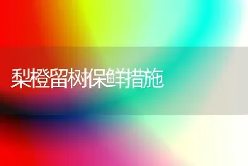 梨橙留树保鲜措施