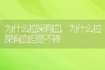 为什么拉屎有血