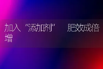 加入“添加剂” 肥效成倍增