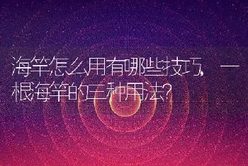 海竿怎么用有哪些技巧