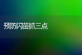 预防闪苗抓三点