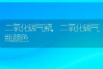 二氧化碳气瓶