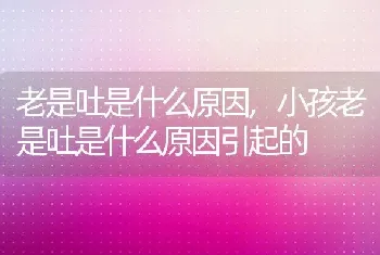 老是吐是什么原因,小孩老是吐是什么原因引起的