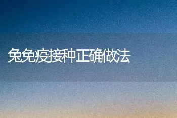 促春豇豆早熟的精管措施