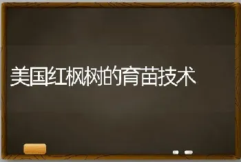 美国红枫树的育苗技术