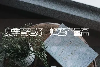 夏季管理好 蜂蜜产量高