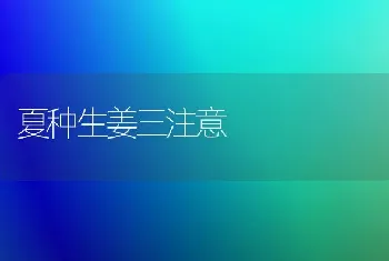 夏种生姜三注意