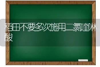 稻田不要多次施用二氯喹啉酸