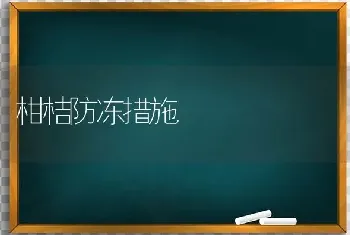 柑桔防冻措施