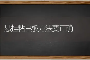 悬挂粘虫板方法要正确