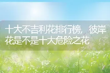 十大不吉利花排行榜