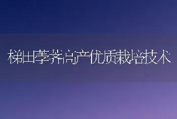 梯田荸荠高产优质栽培技术