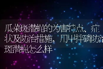 瓜菜斑潜蝇的为害特点、症状及防治措施