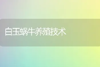 白玉蜗牛养殖技术