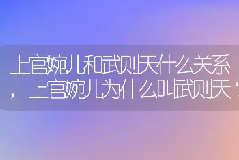 上官婉儿和武则天什么关系