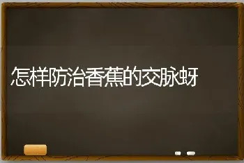 怎样防治香蕉的交脉蚜