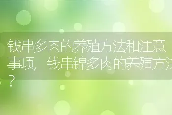 钱串多肉的养殖方法和注意事项