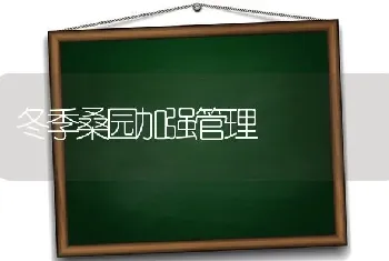 冬季桑园加强管理