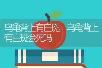 乌龟背上有白斑,乌龟背上有白斑会死吗