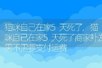 猫咪自己在家5天死了