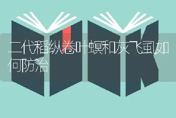 二代稻纵卷叶螟和灰飞虱如何防治