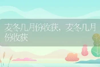 麦冬几月份收获