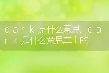 dark是什么意思,dark是什么意思车上的