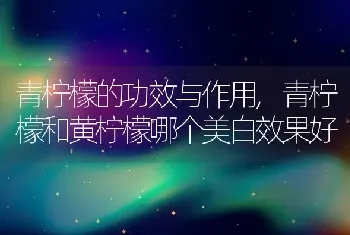 青柠檬的功效与作用