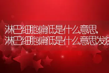 淋巴细胞偏低是什么意思,淋巴细胞偏低是什么意思发烧