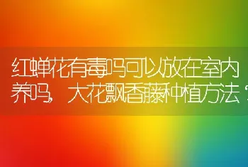 红蝉花有毒吗可以放在室内养吗