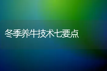 冬季养牛技术七要点