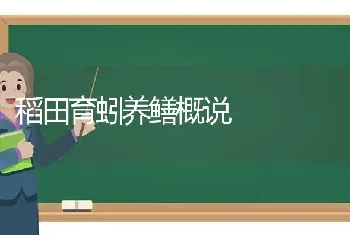 稻田育蚓养鳝概说