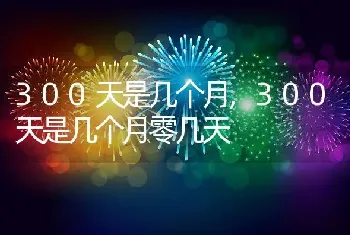 300天是几个月,300天是几个月零几天