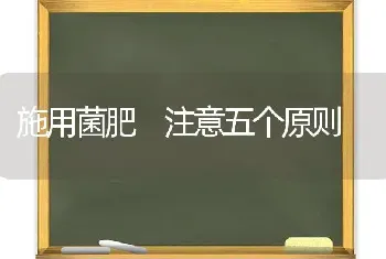 施用菌肥 注意五个原则