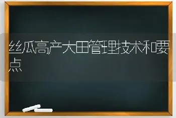 丝瓜高产大田管理技术和要点