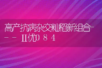 高产抗病杂交籼稻新组合---Ⅱ优084