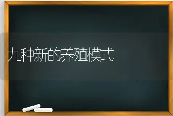 九种新的养殖模式