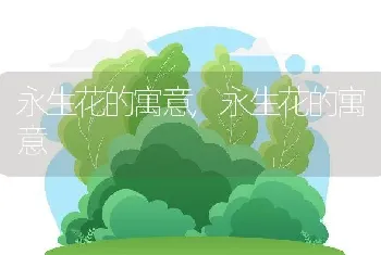 永生花的寓意