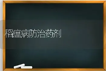 稻瘟病防治药剂