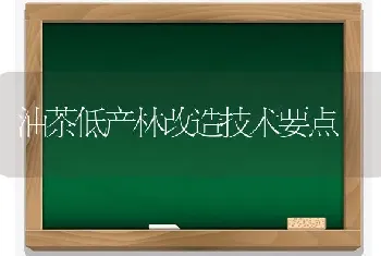 油茶低产林改造技术要点