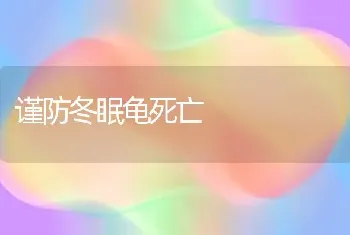 谨防冬眠龟死亡