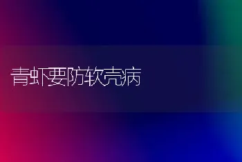 青虾要防软壳病