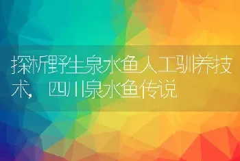 探析野生泉水鱼人工驯养技术