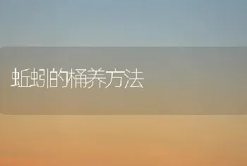 蚯蚓的桶养方法