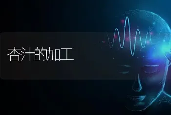 杏汁的加工